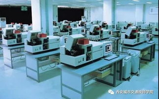 初 高中畢業(yè)學校怎么選 報考指南在這里